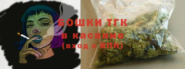 тгк Алзамай
