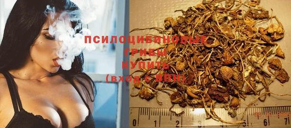 меф Пролетарск