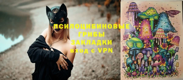 винт Протвино