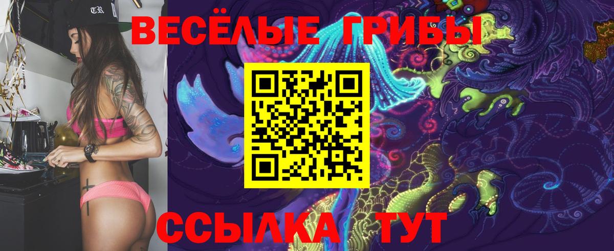 Галлюциногенные грибы GOLDEN TEACHER  купить наркотик  Десногорск  Псилоцибиновые грибы MAGIC MUSHROOMS  Вход с VPN 